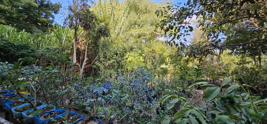 5 Bedroom Property for Sale in Swellendam Western Cape